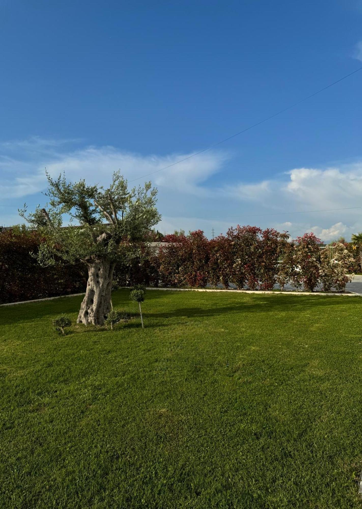 Villa Esmi Durres Kryemedhej Экстерьер фото